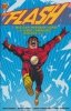 FLASH BY WILLIAM MESSNER-LOEBS AND GREG LAROCQUE OMNIBUS VOL 01 HC [9781779525819]